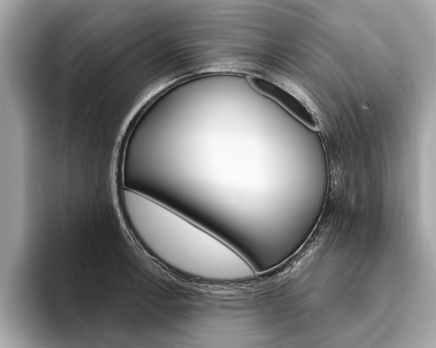 X0000094321138200711021108