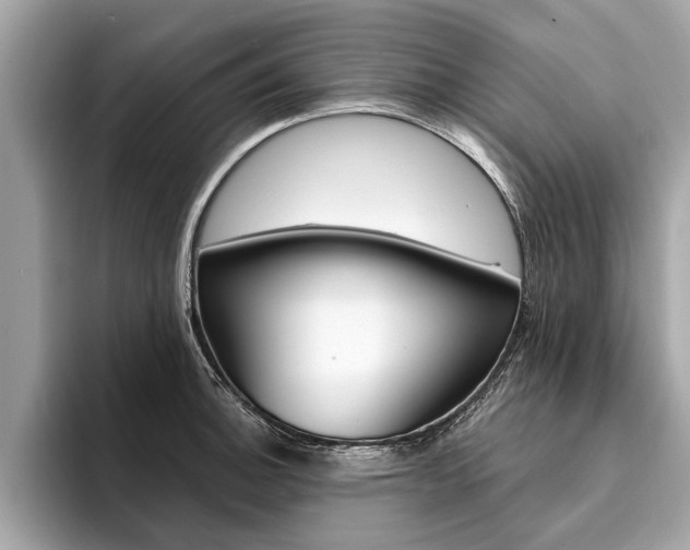 X0000094321140200711021108
