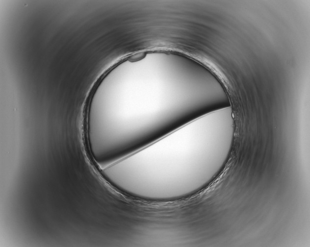 X0000094321142200711021108