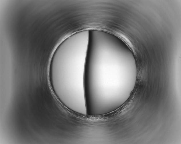 X0000094321146200711021108