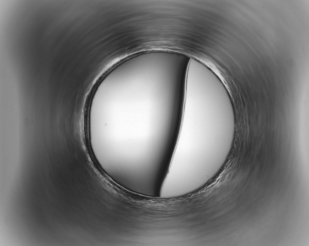 X0000094321147200711021108