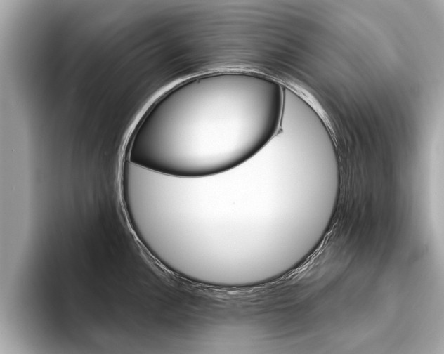 X0000094321148200711021108