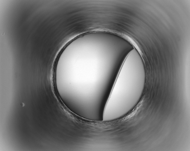 X0000094321149200711021108