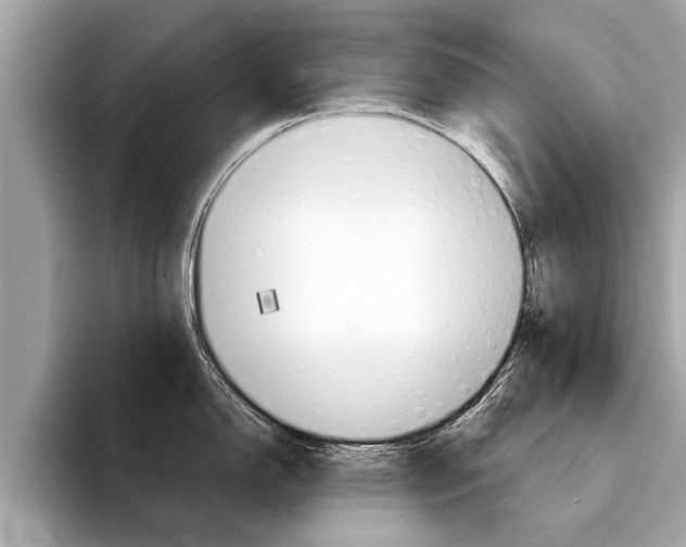 X0000094321150200711021108