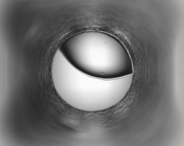 X0000094321159200711021107
