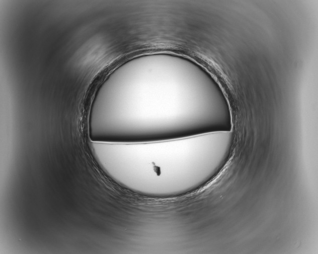 X0000094321163200711021107
