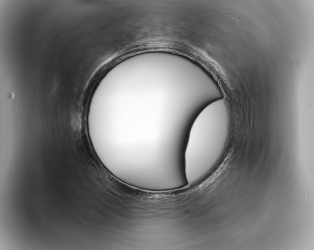 X0000094321166200711021107