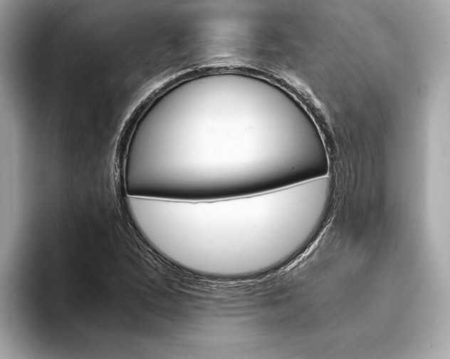 X0000094321167200711021107