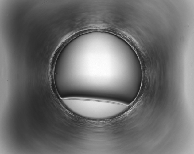 X0000094321168200711021107