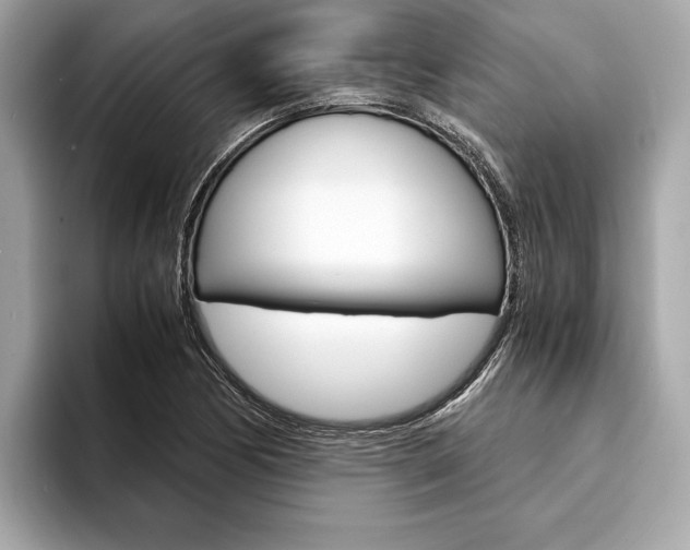 X0000094321170200711021107