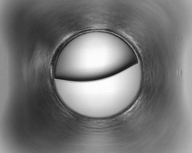 X0000094321171200711021107