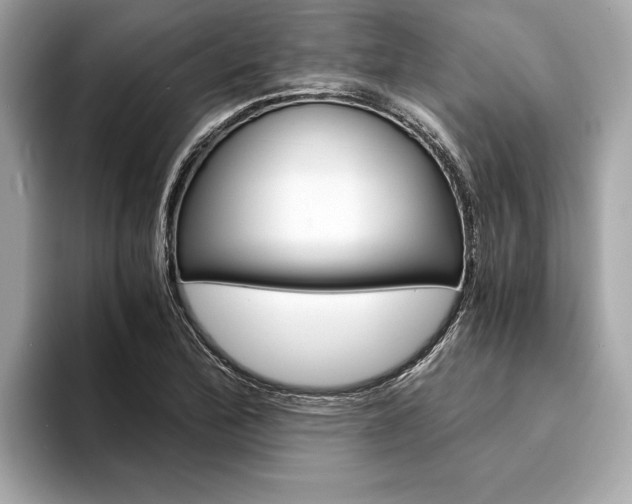 X0000094321172200711021107