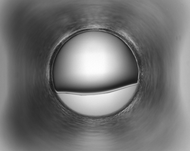 X0000094321173200711021107