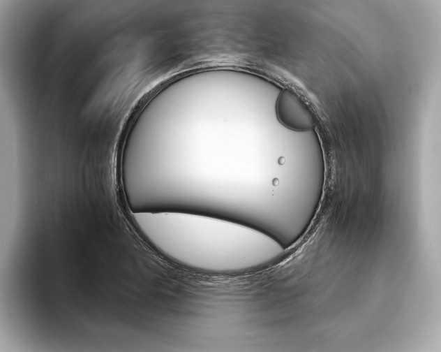 X0000094321174200711021107