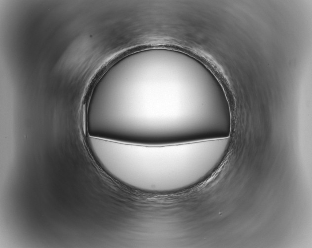 X0000094321175200711021107