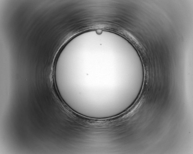 X0000094321178200711021107