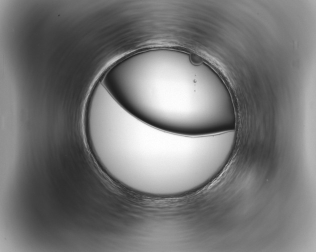X0000094321179200711021107