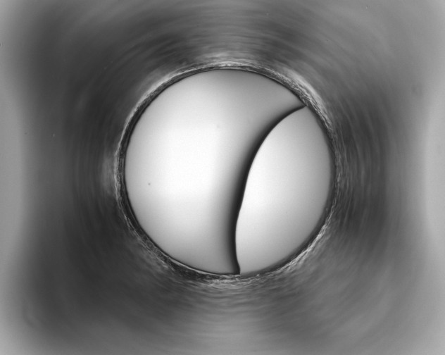 X0000094321182200711021107