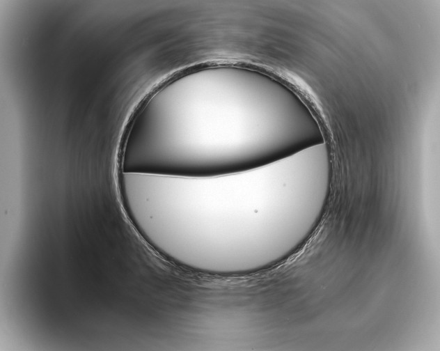 X0000094321183200711021107