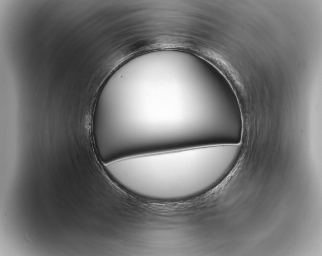 X0000094321185200711021107