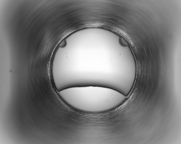 X0000094321186200711021107