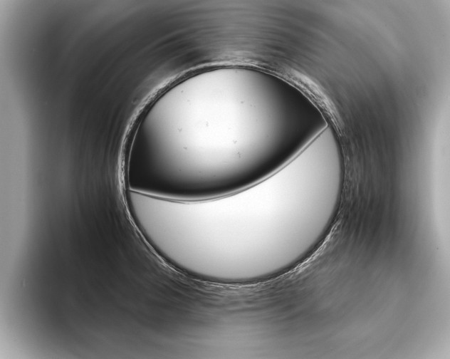 X0000094321188200711021107