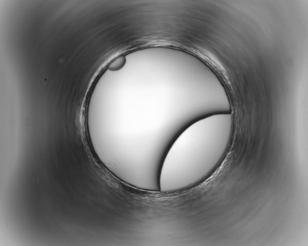 X0000094321190200711021107