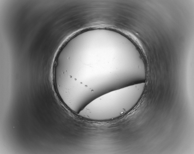 X0000094321191200711021107