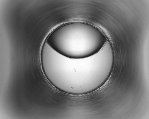 X0000094321192200711021107