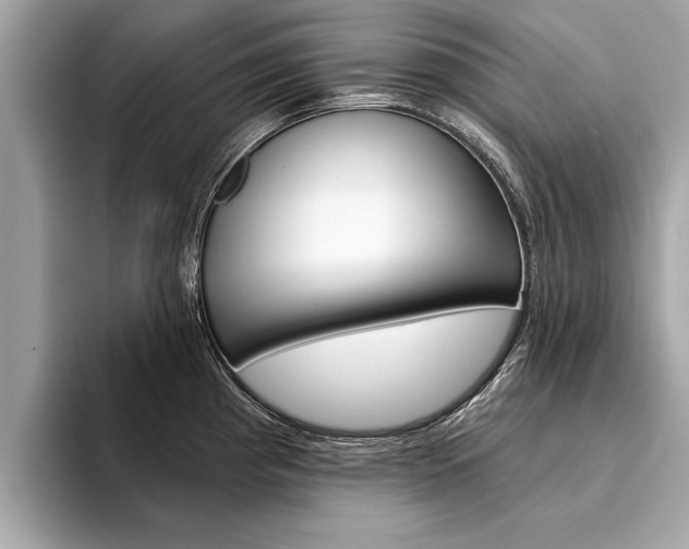 X0000094321193200711021107