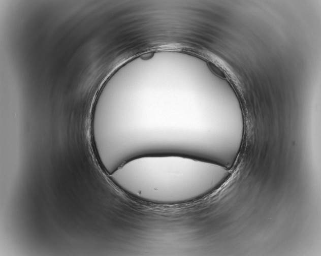 X0000094321194200711021107