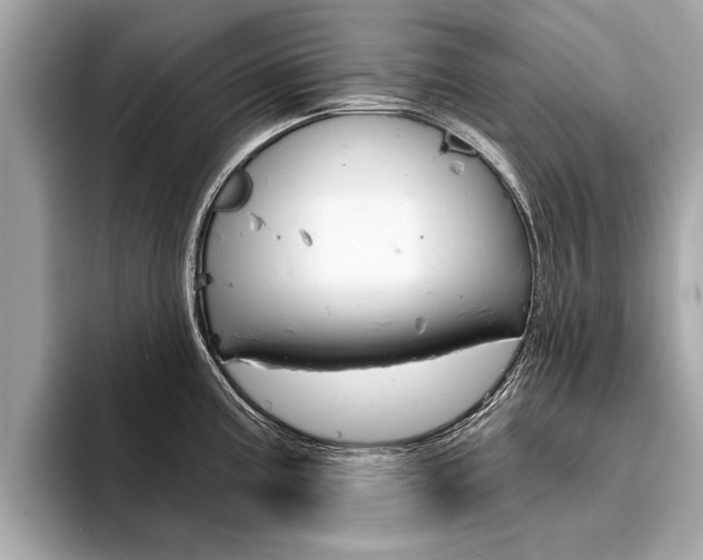 X0000094321195200711021107