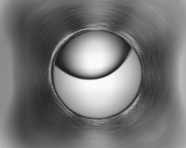 X0000094321196200711021107