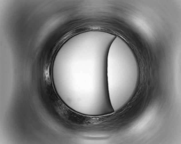 X0000094321198200711021107