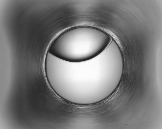 X0000094321199200711021107