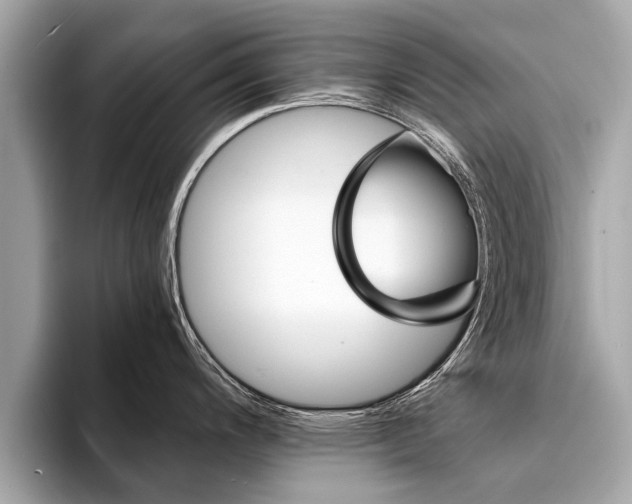 X0000094321200200711021107