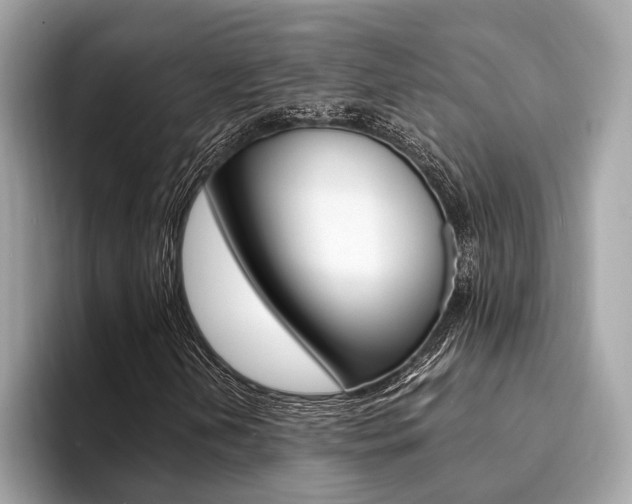 X0000094321202200711021106
