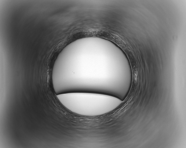 X0000094321204200711021106