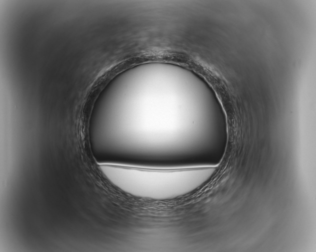 X0000094321206200711021107