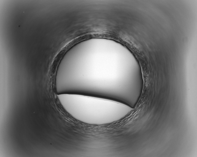 X0000094321208200711021107