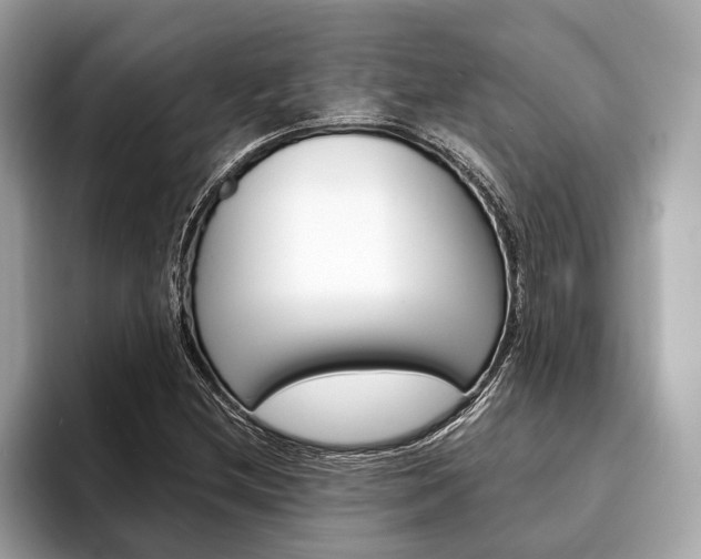 X0000094321212200711021107