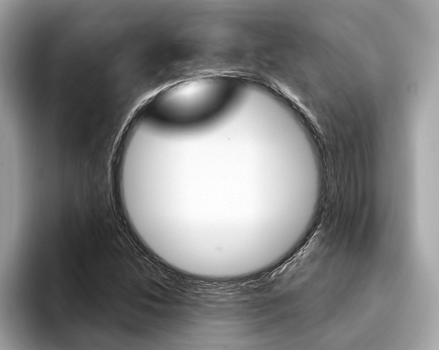 X0000094321214200711021107