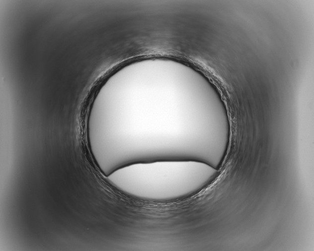 X0000094321215200711021107