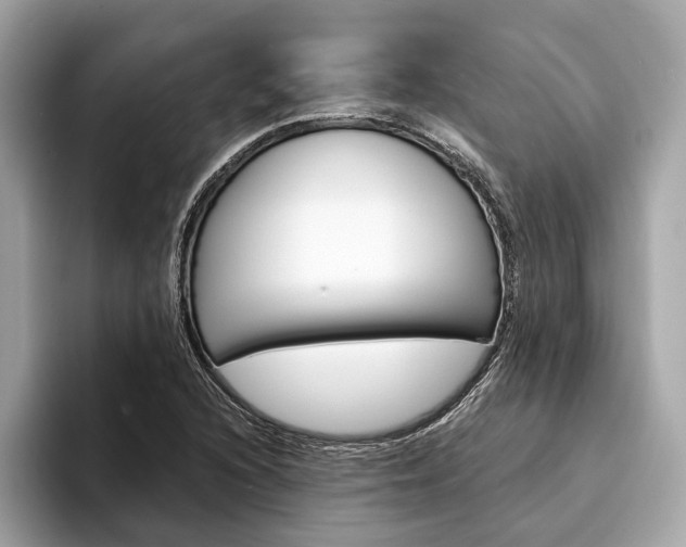X0000094321216200711021107