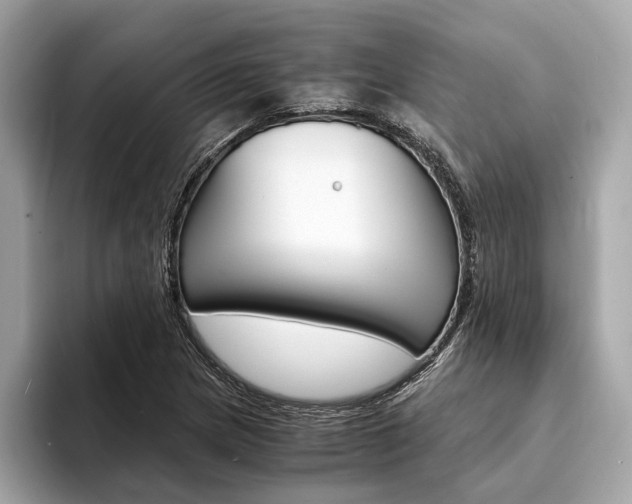 X0000094321217200711021107