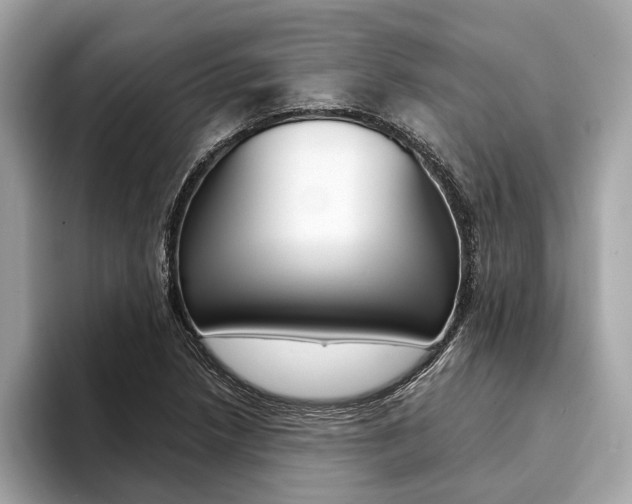 X0000094321218200711021107