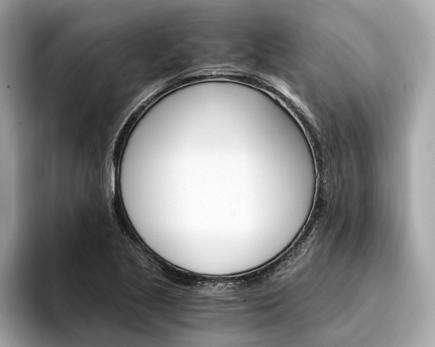 X0000094321221200711021107