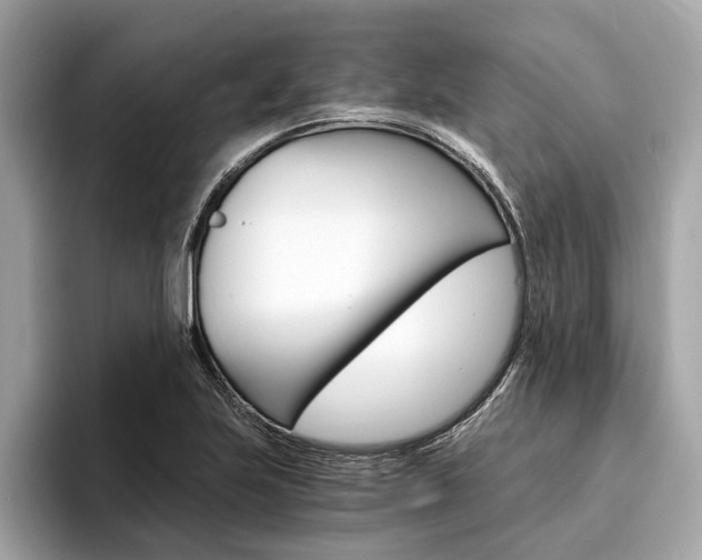 X0000094321223200711021107