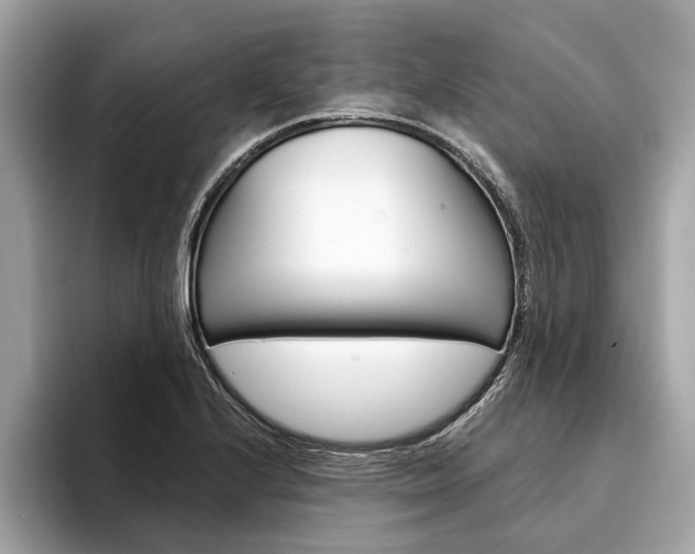 X0000094321224200711021107