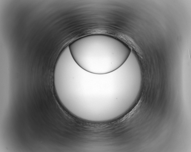 X0000094321225200711021107